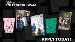Disney College Program - Apply Today!