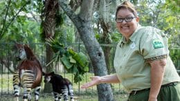 Disney Animal Keeper and Okapi Family