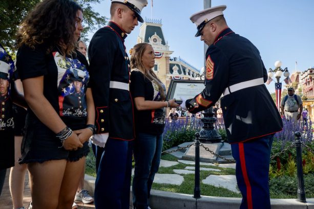 Disney Saluting Military Service On Veterans Day And Year-Round ...