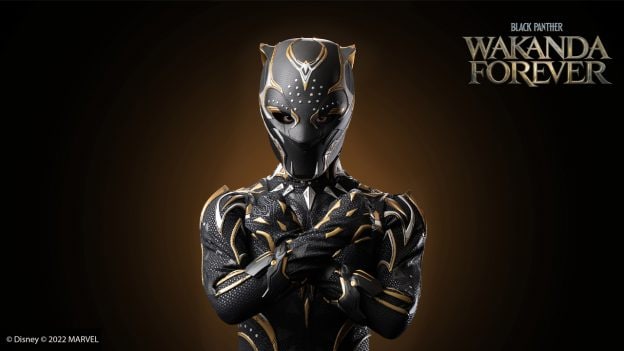 New Black Panther Character Featuring Black Panther: Wakanda Forever theatrical title
