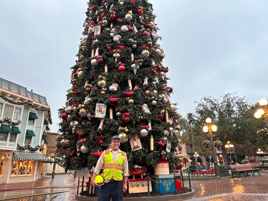 Disneyland Resort cast member Martin at the Christmas tree in Town Square