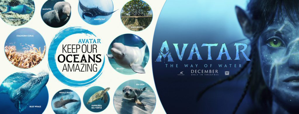 'Keep Our Oceans Amazing' Campaign Launches in Celebration of 'Avatar: The Way of Water'