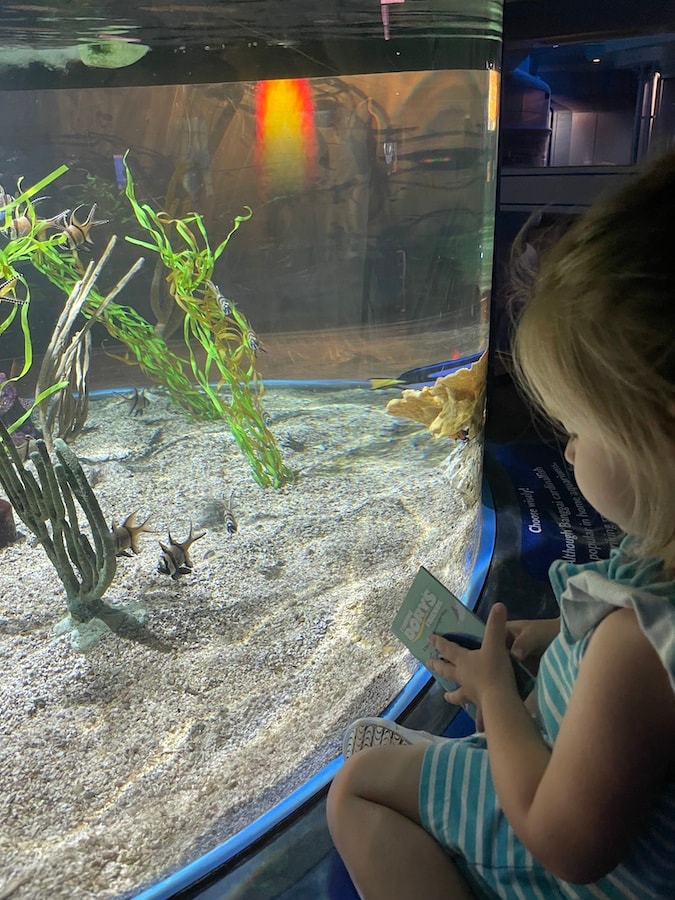 Child enjoys SeaBase at EPCOT