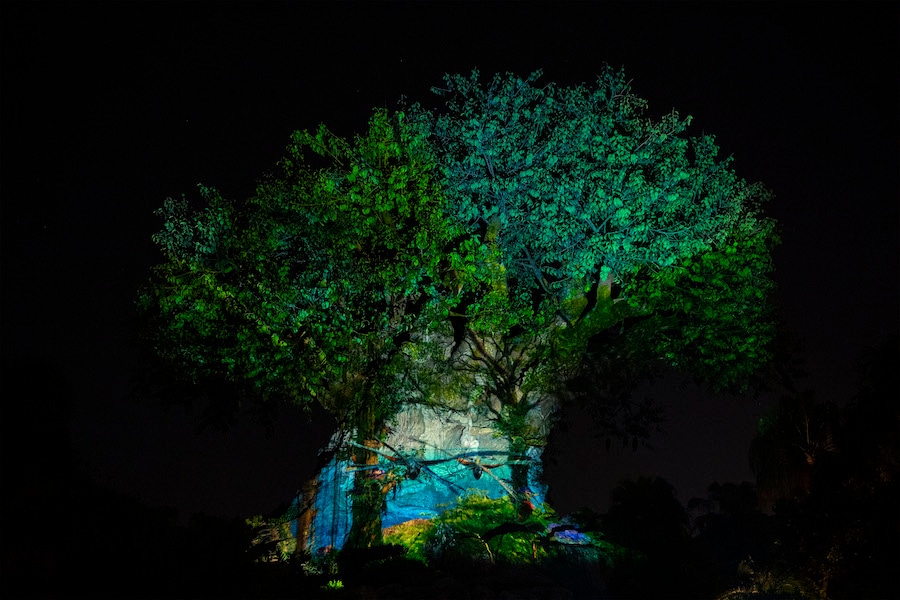 “Avatar: The Way of Water” on the Tree of Life at Disney’s Animal Kingdom Theme Park