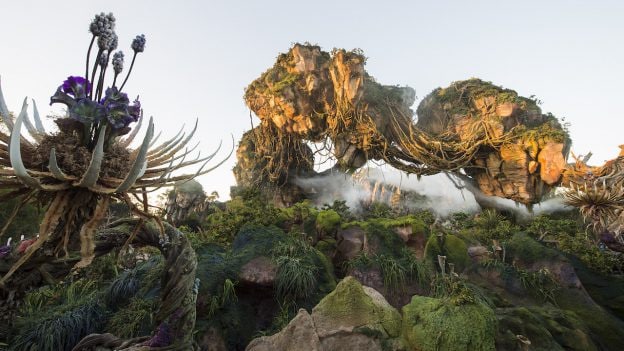 Pandora - The World of Avatar at Disney's Animal Kingdom