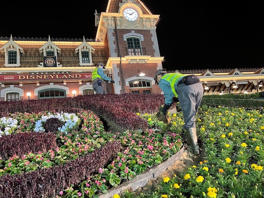 Flowers at Hong Kong Disneyland’s Lunar New Year 2023