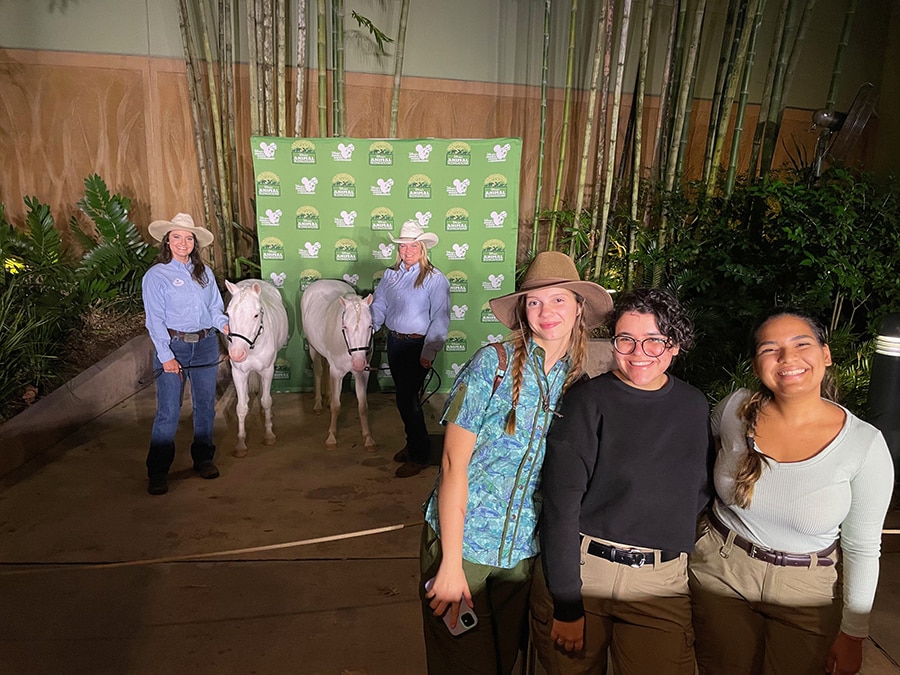 Cast Members capture photos with Tri-Circle-D Ranch horses