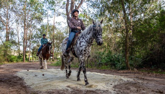 Horseback riding trails at Disney's Fort Wilderness