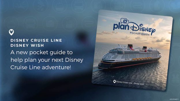 Beginners Guide to the Disney Wish Cruise Ship