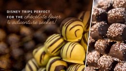 Adventures by Disney destinations which feature chocolate