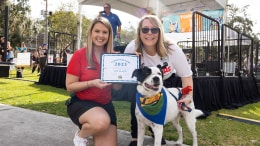 Walt Disney World Ambassador, Ali and cast member with dog at Paws in the Park in Downtown Orlando