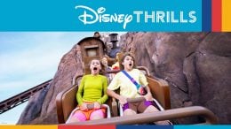 19 Disney Thrills to Get Excited About at Walt Disney World