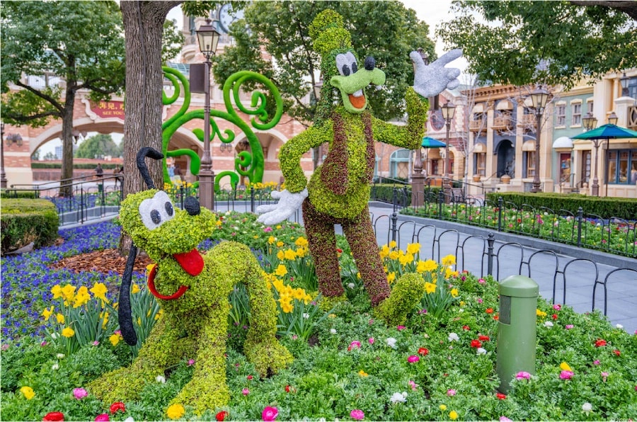 Goofy and Pluto topiaries at Shanghai Disney Resort
