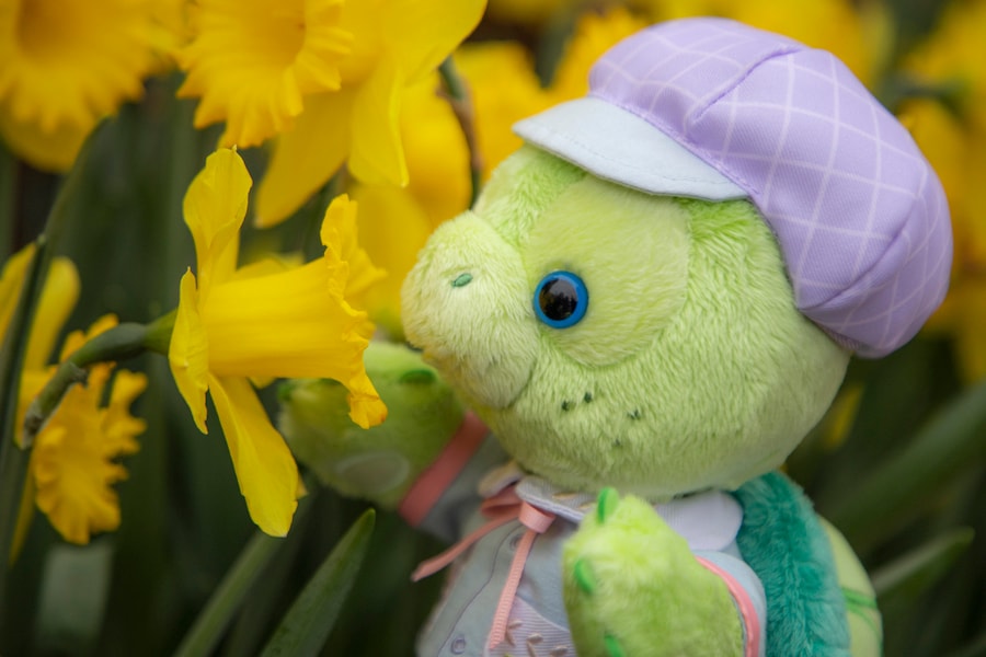 Olu in his Springtime outfit