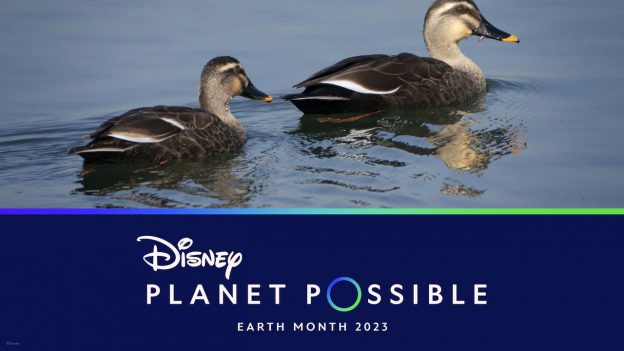 Disney Planet Possible
