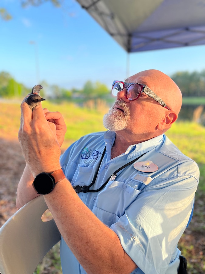 Disney’s Animals, Science and Environment cast members lead collaborative research and conservation efforts focused on protecting sea turtles, butterflies, purple martin songbirds, and more.