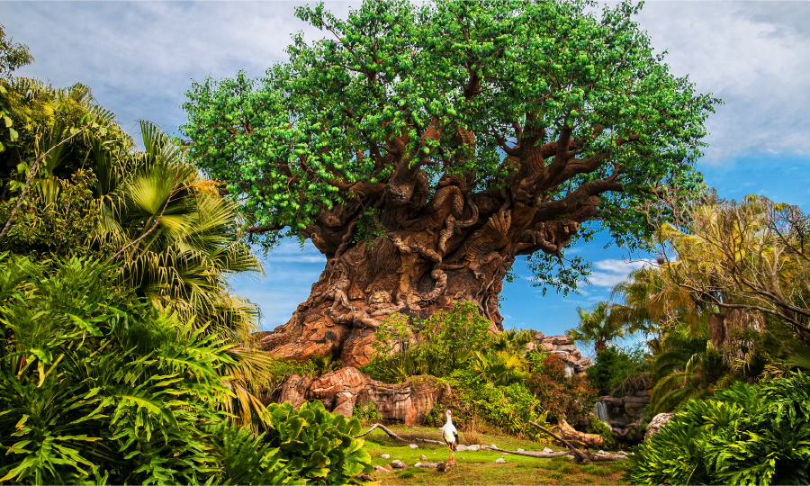 First Animals of Disney’s Animal Kingdom Who’ve Inspired Guests for 25 Years