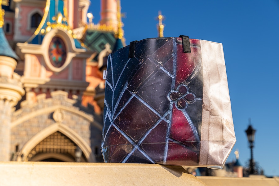 Disneyland Paris bags