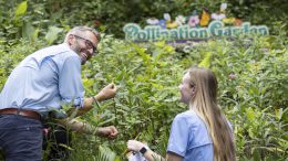 Dr. Zak in Pollination Garden with associate
