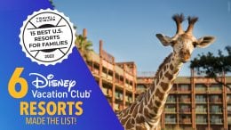 6 Disney Vacation Club Resorts Named Best for Families by Travel + Leisure Readers. Photo includes Disney’s Animal Kingdom Lodge in the Walt Disney World Resort - giraffe at hotel pictured.
