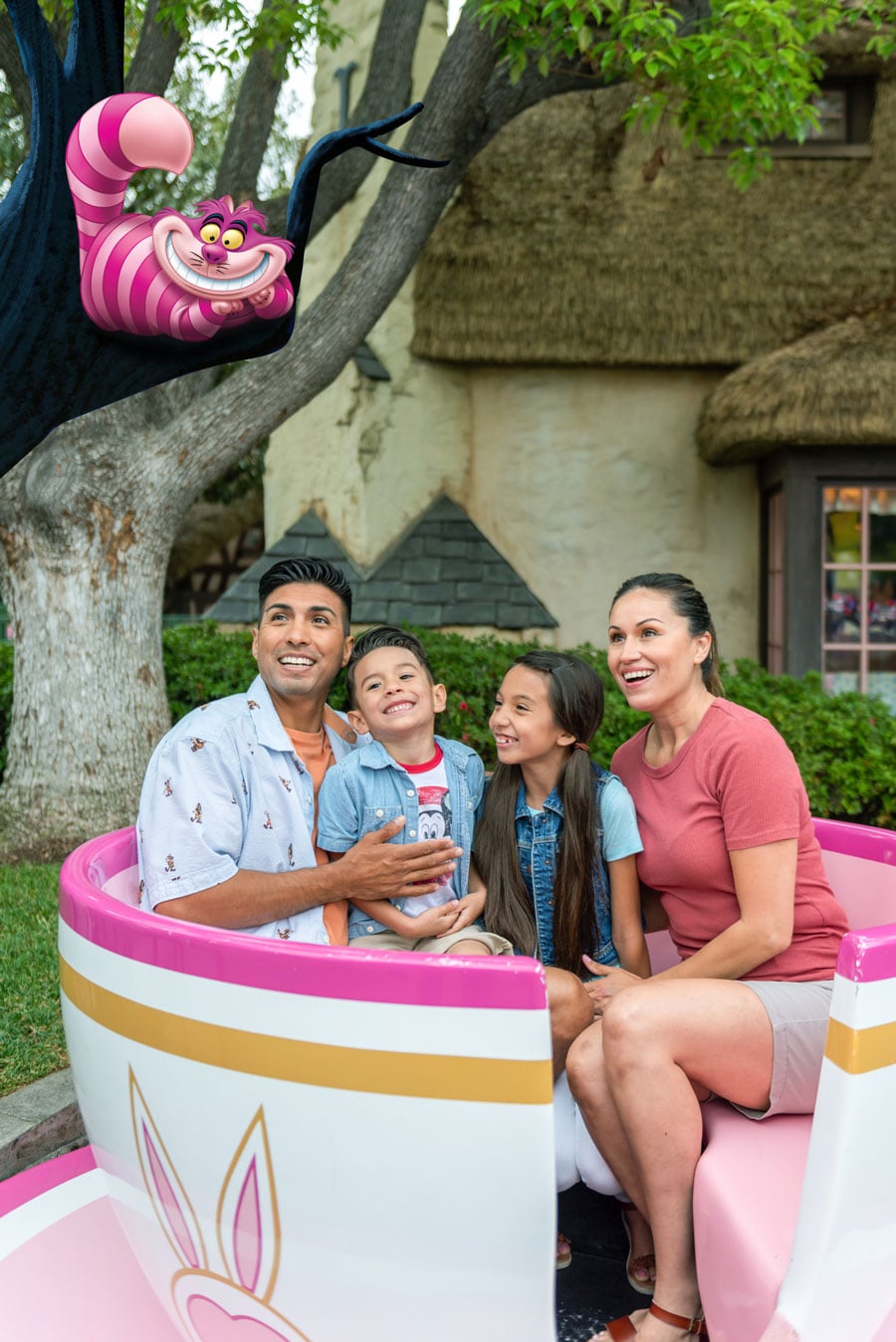 7 MustSee Disneyland Resort Photo Ops with Disney PhotoPass