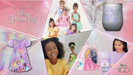 Celebrating the Wonder of Disney Princess