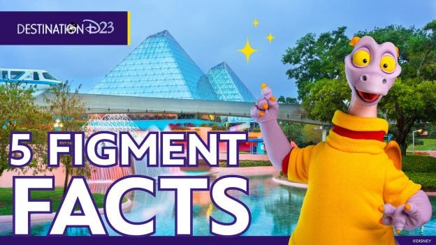 5 Figment Facts