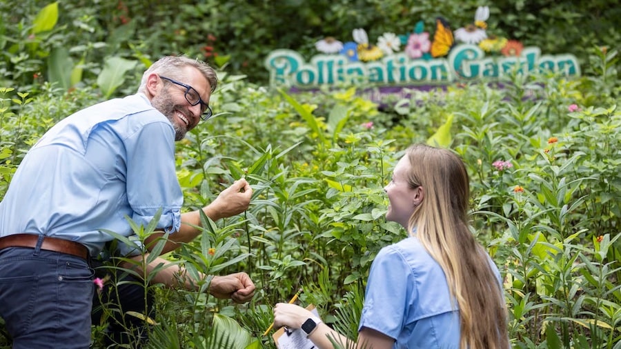 Two cast members examine a lush bed of plants in the Pollination Garden at Disney's Animal Kingdom