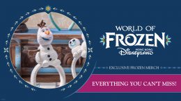 Exclusive Frozen Merchandise You Can Only Find at World of Frozen
