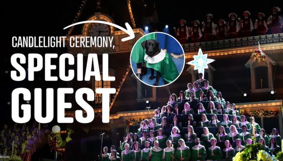 Cast Member and Service Dog Share Paw-sitive Experience at Disneyland Candlelight Ceremony