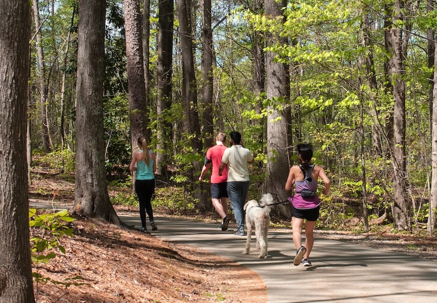 People wlaking and jogging through the woods on a paved path, a lday walking a dog