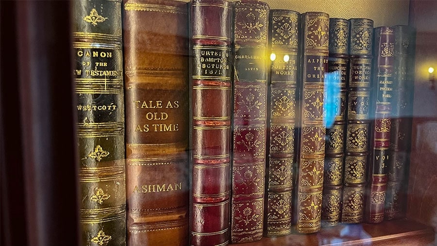Books on a shelve in the Beauty and the Beast Signature Suite