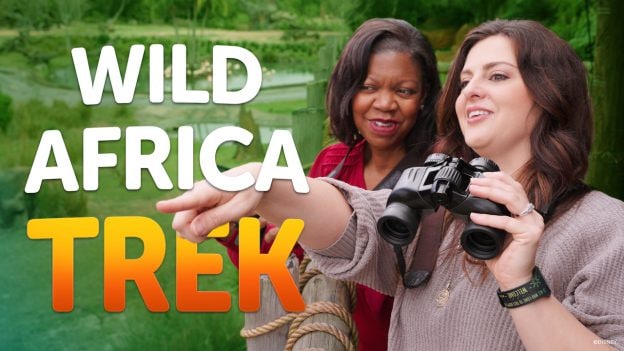 Ultimate Guide to Disney’s Popular Wild Africa Trek at Walt Disney World Resort