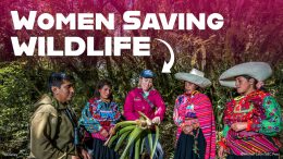 Women Saving Wildlife: 11 Trailblazing Women Honored by the Disney Conservation Fund