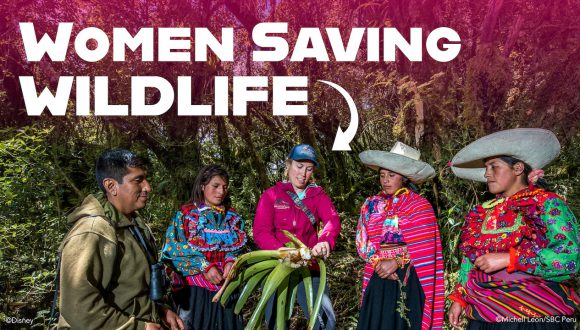 Women Saving Wildlife: 11 Trailblazing Women Honored by the Disney Conservation Fund