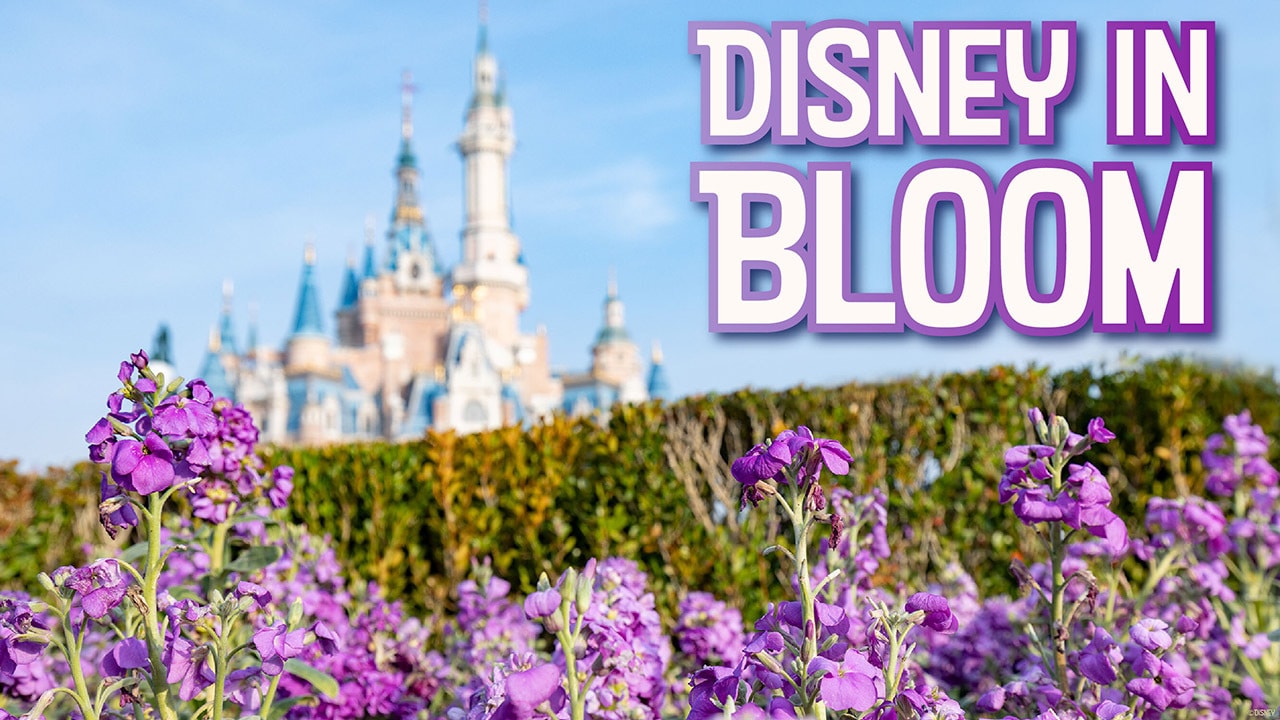 21 Unmistakable Signs Spring Has Sprung at Disney