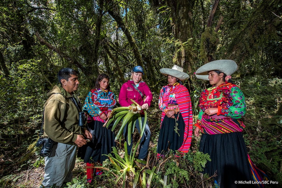 Robyn Appleton, Spectacled Bear Conservation Peru