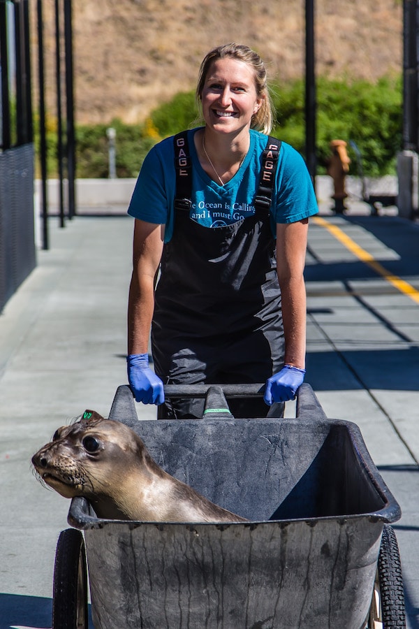 Dr. Sophie Whoriskey, DVM, The Marine Mammal Center