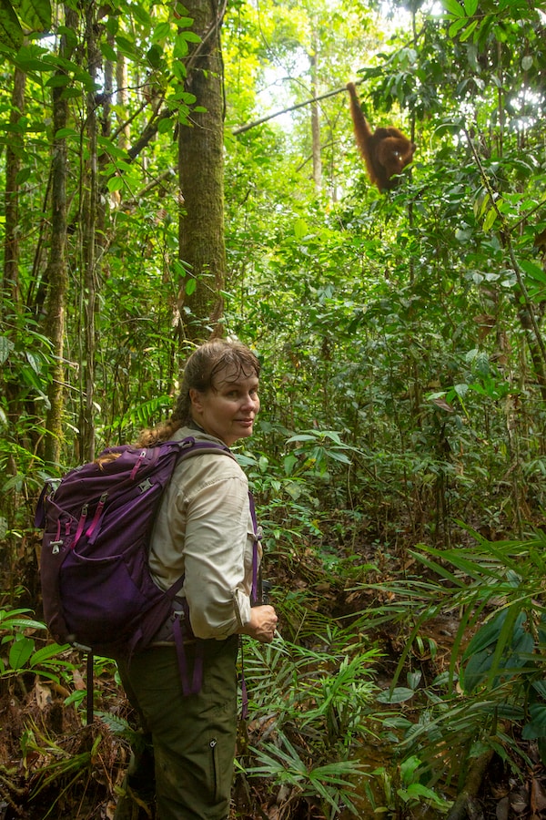Dr. Cheryl Knott, Gunung Palung Orangutan Conservation Program 