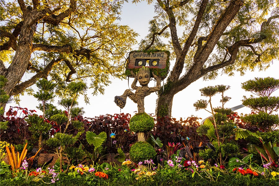 Image of Groot topiary for the EPCOT International Flower & Garden Festival