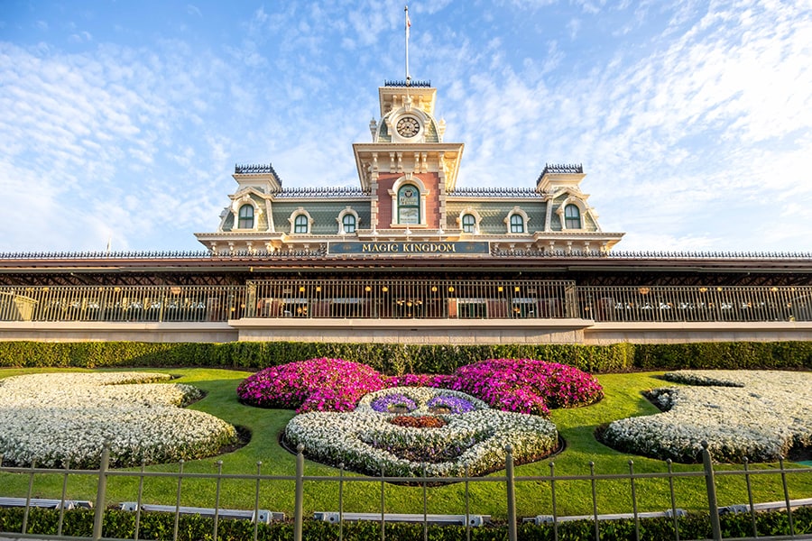 Walt Disney World Resort Flower Bed