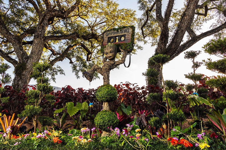 New Groot Topiary at EPCOT International Flower & Garden Festival 2024