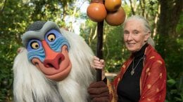 Dr. Jane Goodall at Disney’s Animal Kingdom
