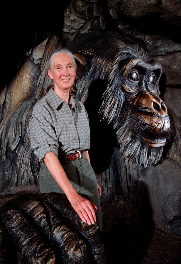 Jane with the carving of David Greybeard on the Tree of Life at Disney’s Animal Kingdom.