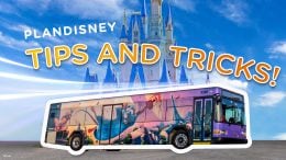 planDisney Tips and Tricks: Time-Saving Ways to Get Around Walt Disney World