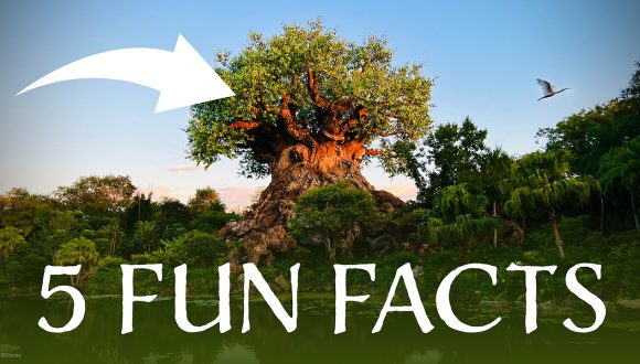 5 Fun Facts About Disney Conservation