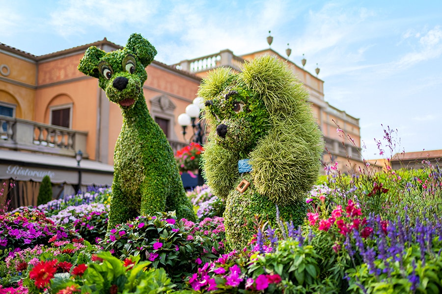 Lady and the Tramp Topiary at EPCOT
