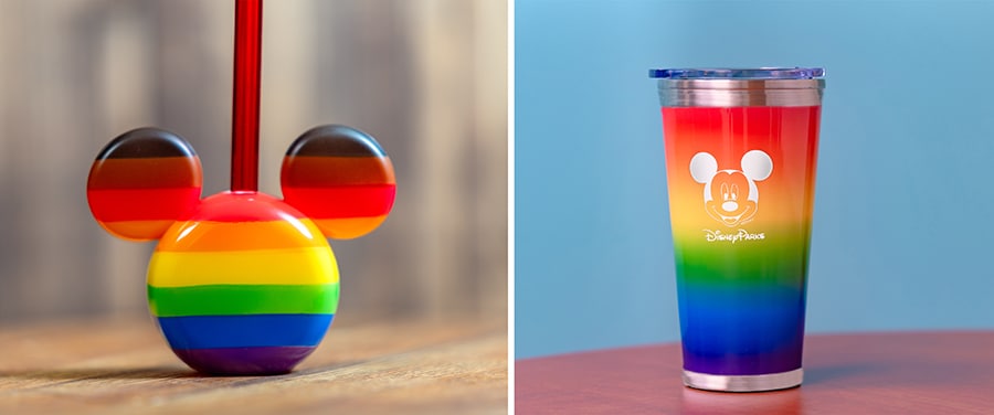 Pride Bottle Topper and Pride Stainless Steel Tumbler
