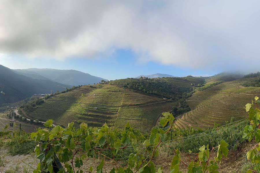 Douro Valley, Portugal 