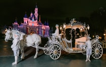 A decorate horse leading a group of medieval men by a beautiful carriage in front of the illuminated Sleeping Beauty Castle at night.